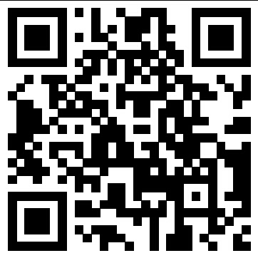 the qr code